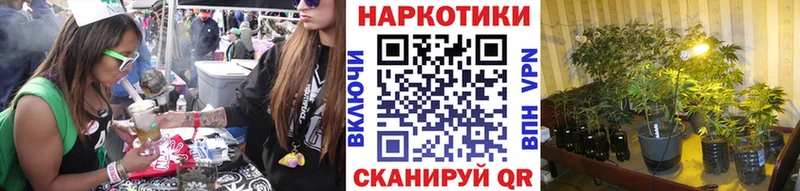 Как найти наркотики Карачаевск APVP  Галлюциногенные грибы  Конопля 