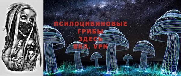 метадон Покачи