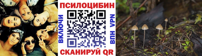 Псилоцибиновые грибы прущие грибы  как найти наркотики  Карачаевск 