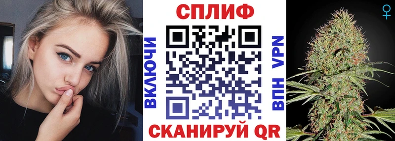 продажа наркотиков  Карачаевск  darknet какой сайт  Бошки марихуана Bruce Banner 